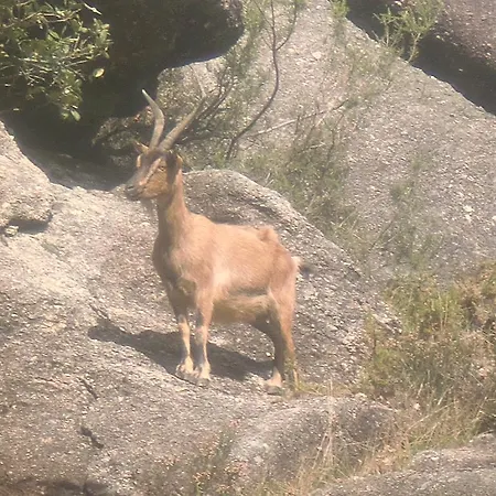 Appartement Casa Feijao - Local