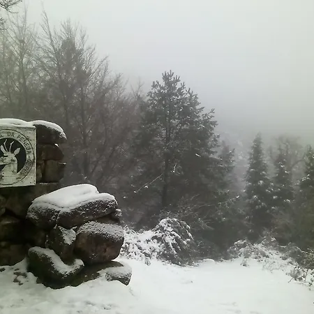 Casa Feijao - Local Gerês