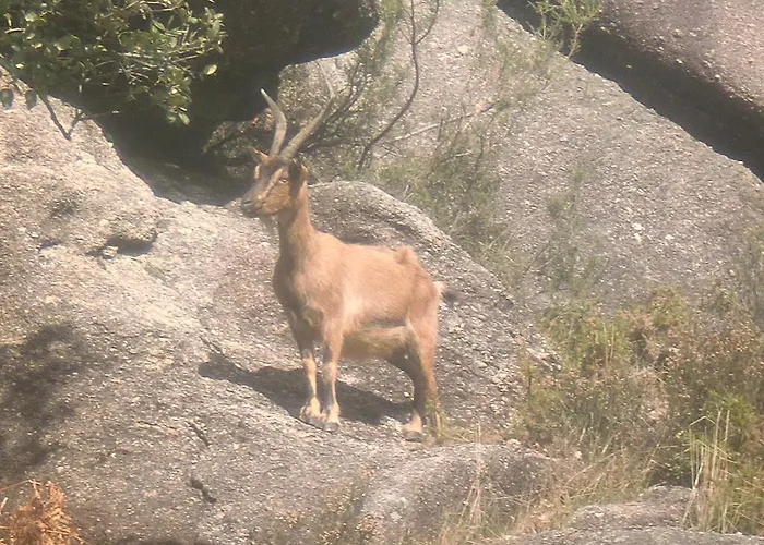 Lejlighed Casa Feijao - Local