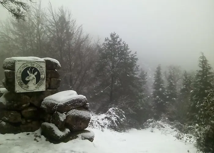 Casa Feijao - Local Герес