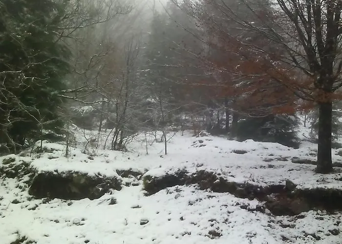 Casa Feijao - Local * Герес