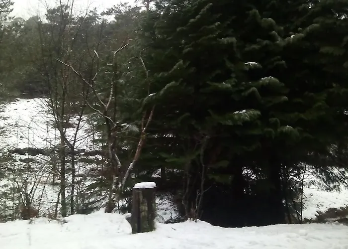 Daire Casa Feijao - Local