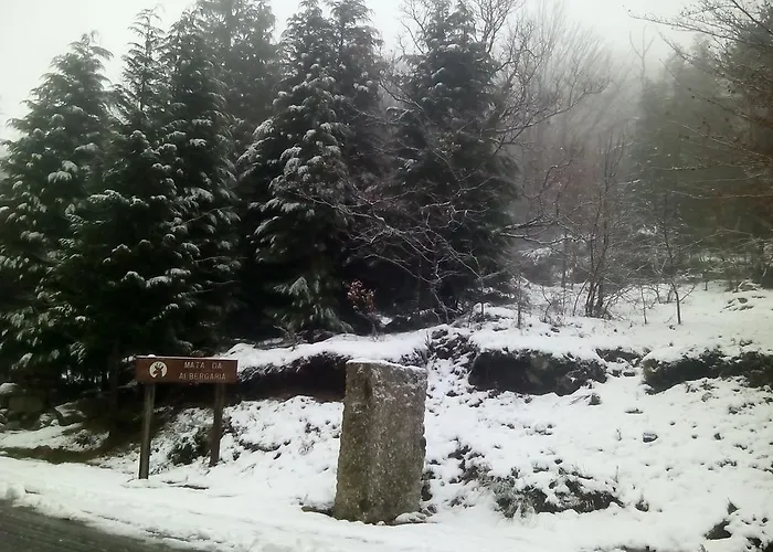 Апартаменты Casa Feijao - Local