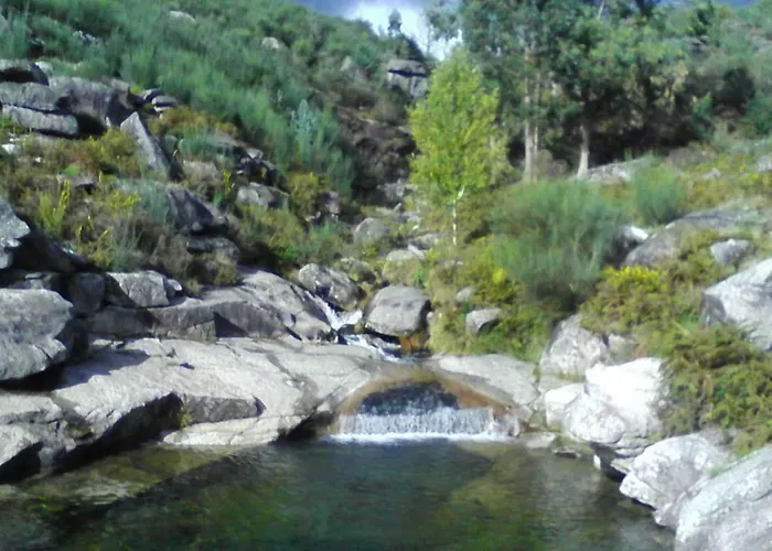 Casa Feijao - Local Daire