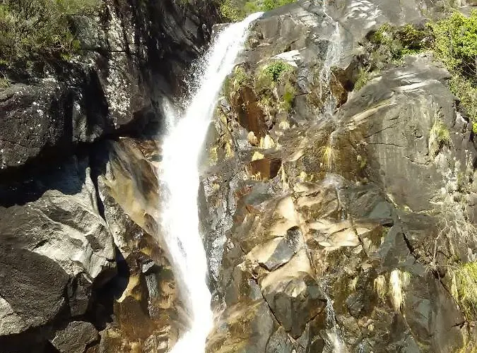 Daire Casa Feijao - Local