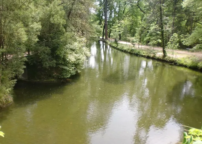 Apartmán Casa Feijao - Local