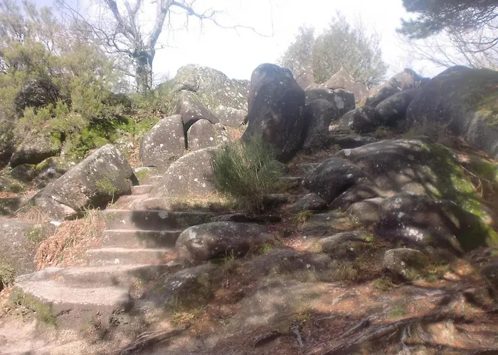 아파트 Casa Feijao - Local 제어스